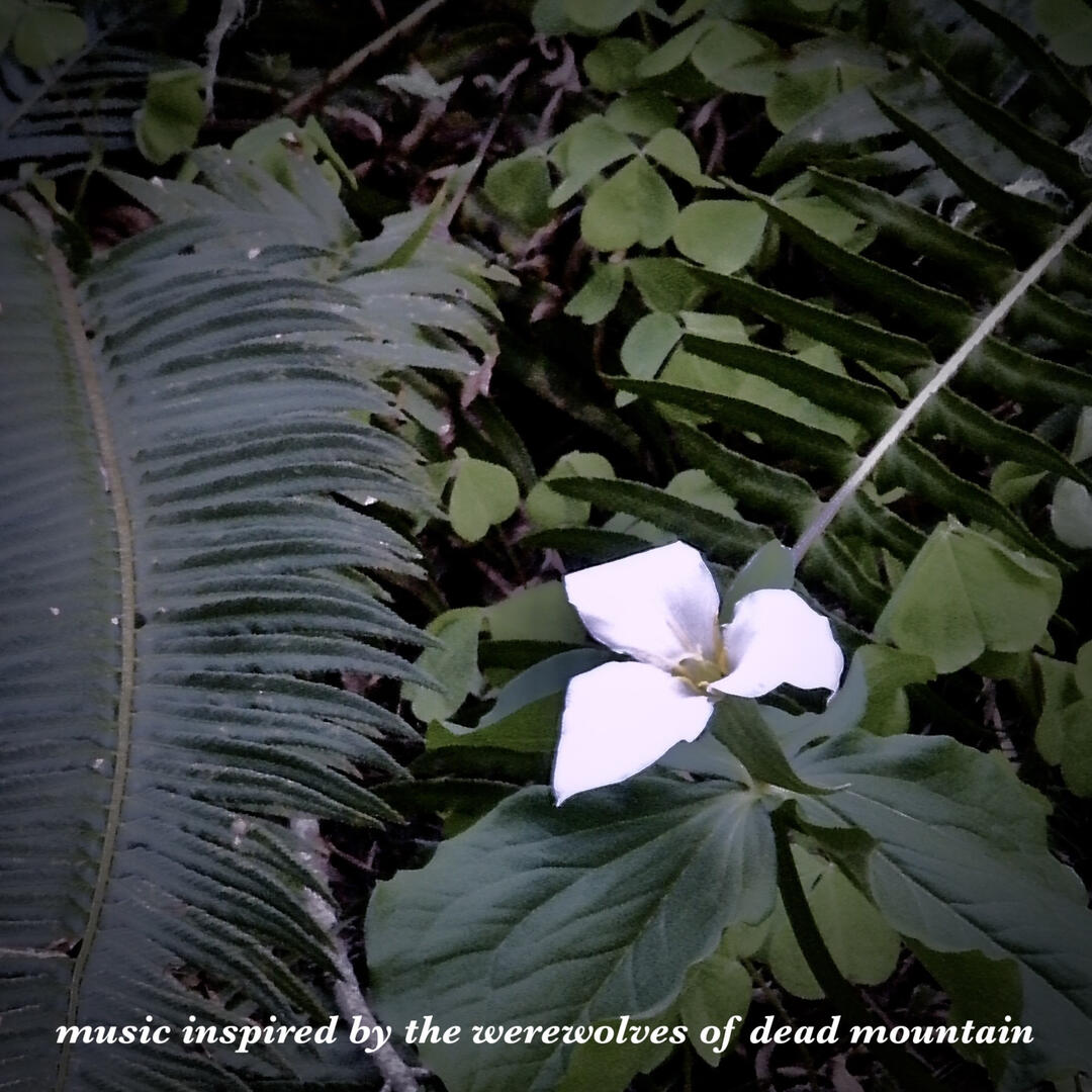 music inspired by the werewolves of dead mountain